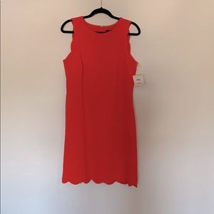 Coral scalloped Dress